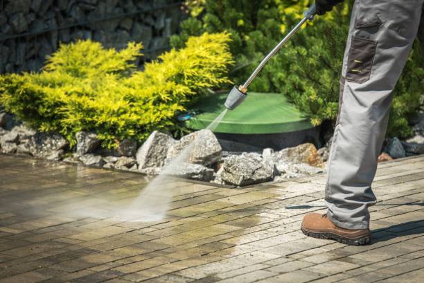 Best Vinyl Siding Pressure Washing in Ball Ground, GA